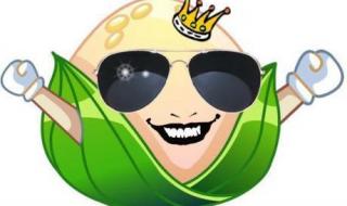 预算员报考条件 预算员报考条件